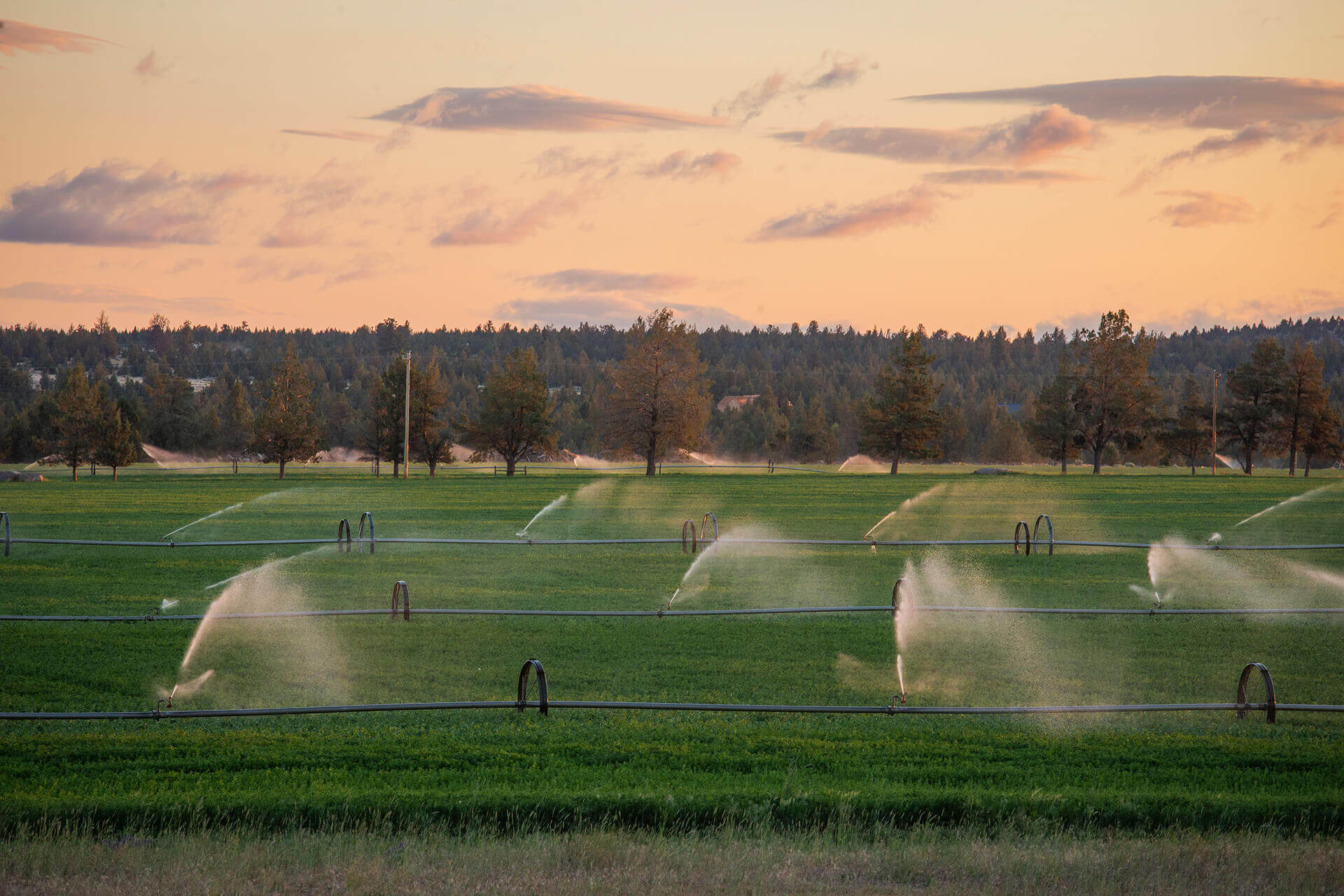 Central Oregon Irrigation Modernization Projects Create Jobs and Increase Drought Resilience