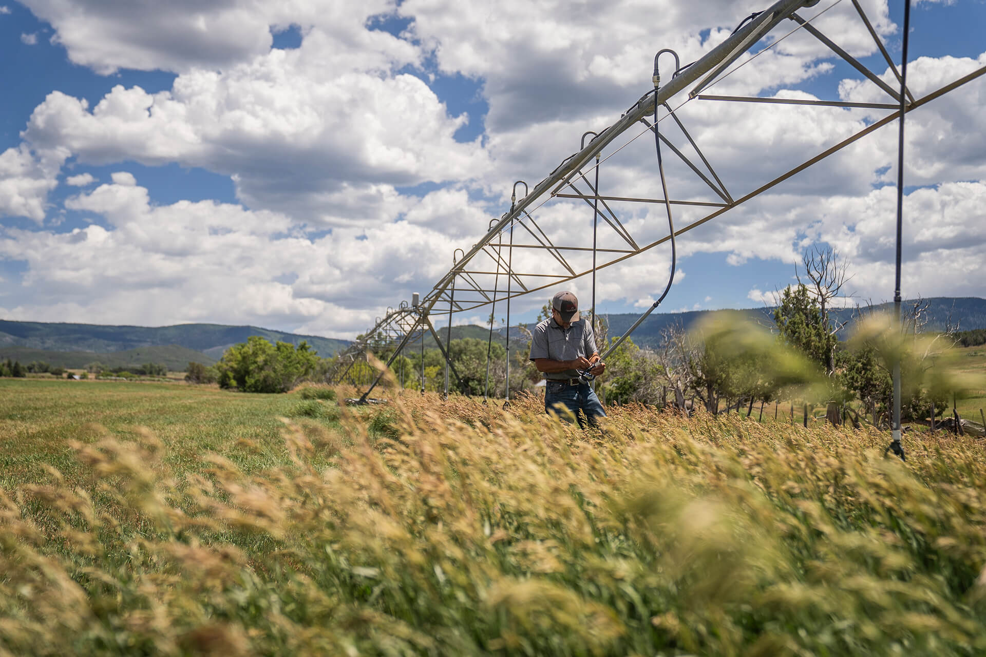 Oregon regulators approve $25 million for irrigation projects