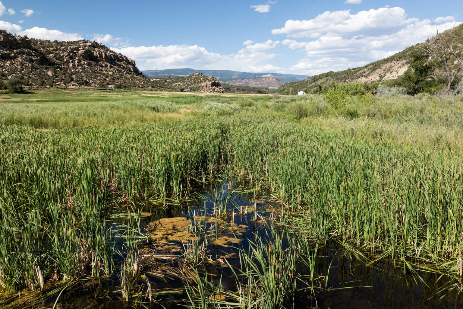 irrigated acres served by the District