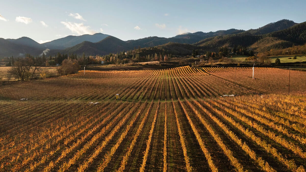 Rogue River Valley Irrigation District: Bradshaw Drop Project