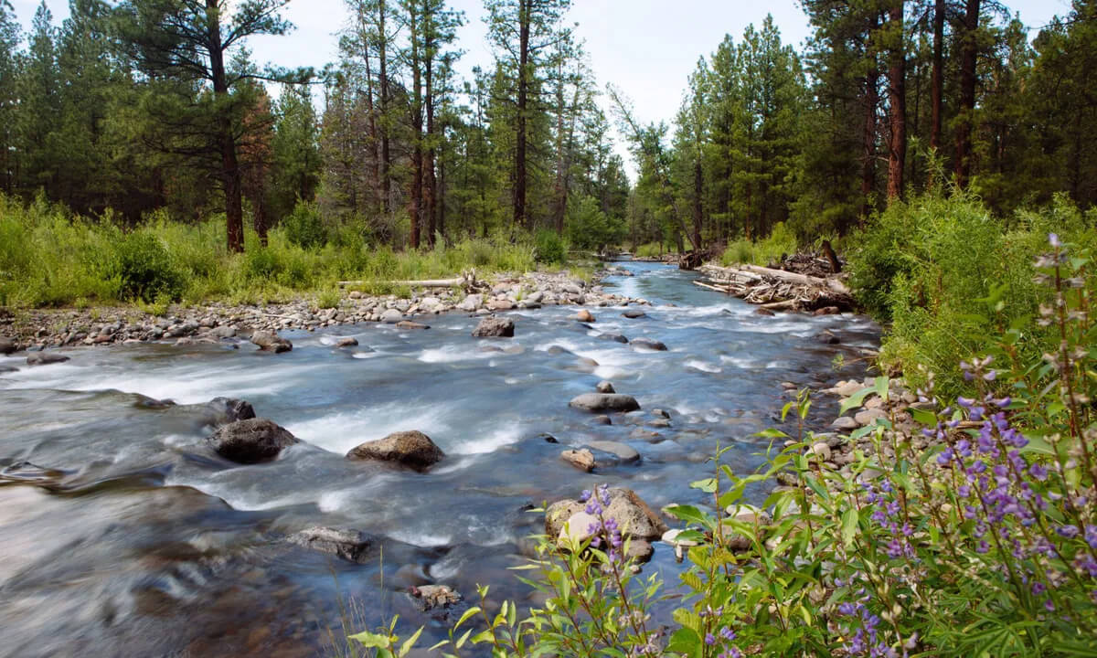 Three Sisters Irrigation District finishes final piping project, a major milestone in Whychus Creek restoration