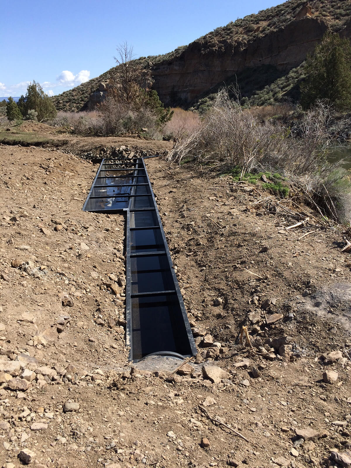 Twentymile Creek Screen