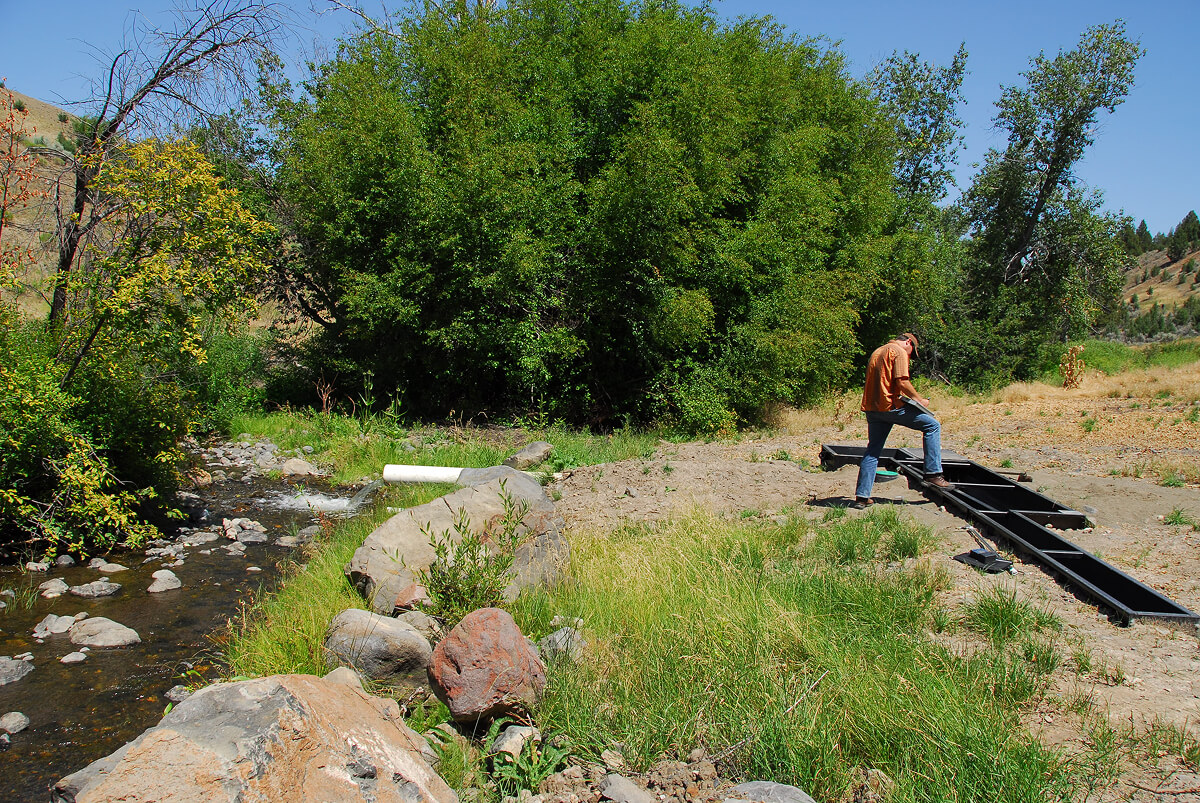 Widows Creek Screens