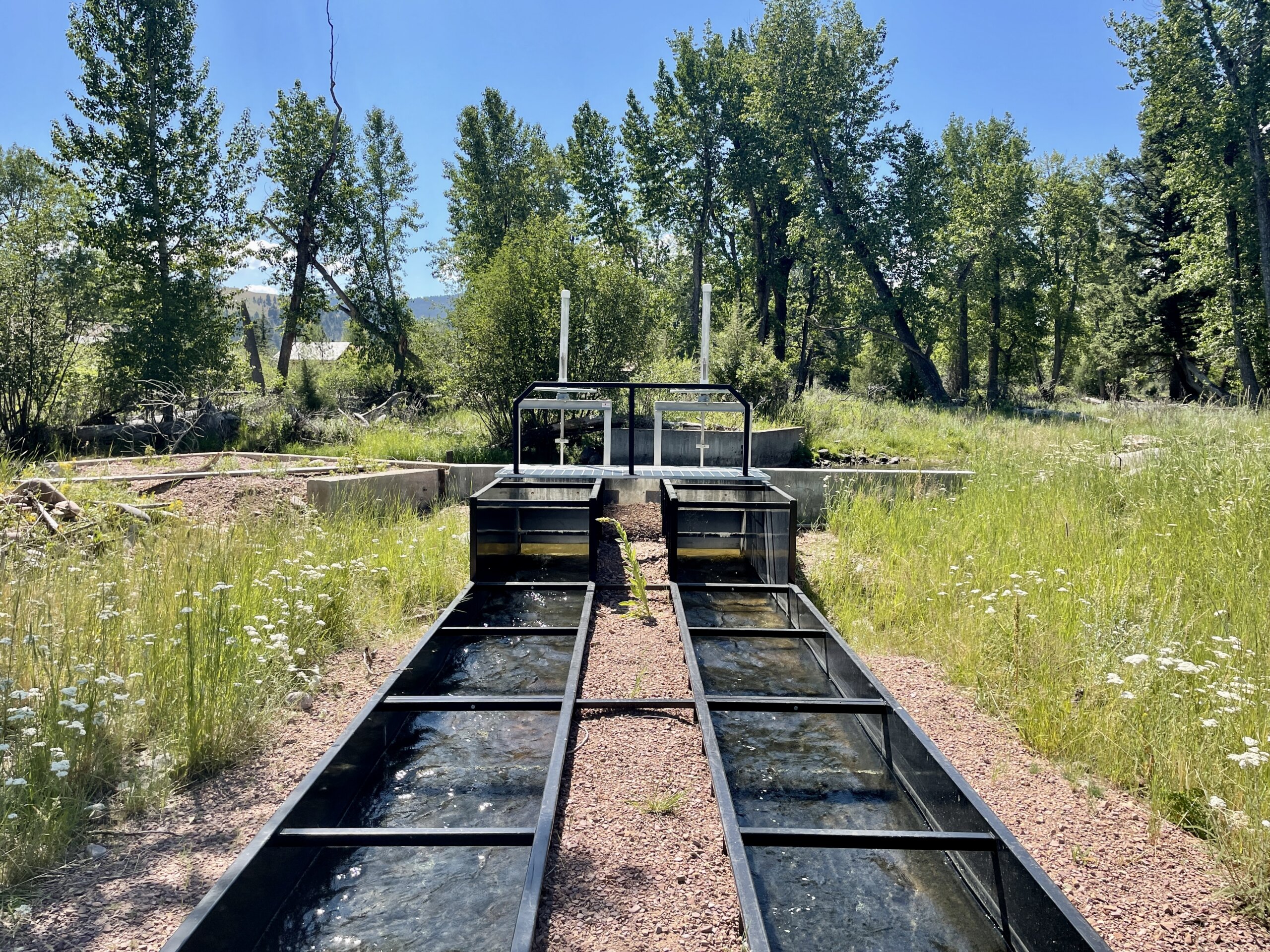 Bohrnsen-Marletto Farmers Screen