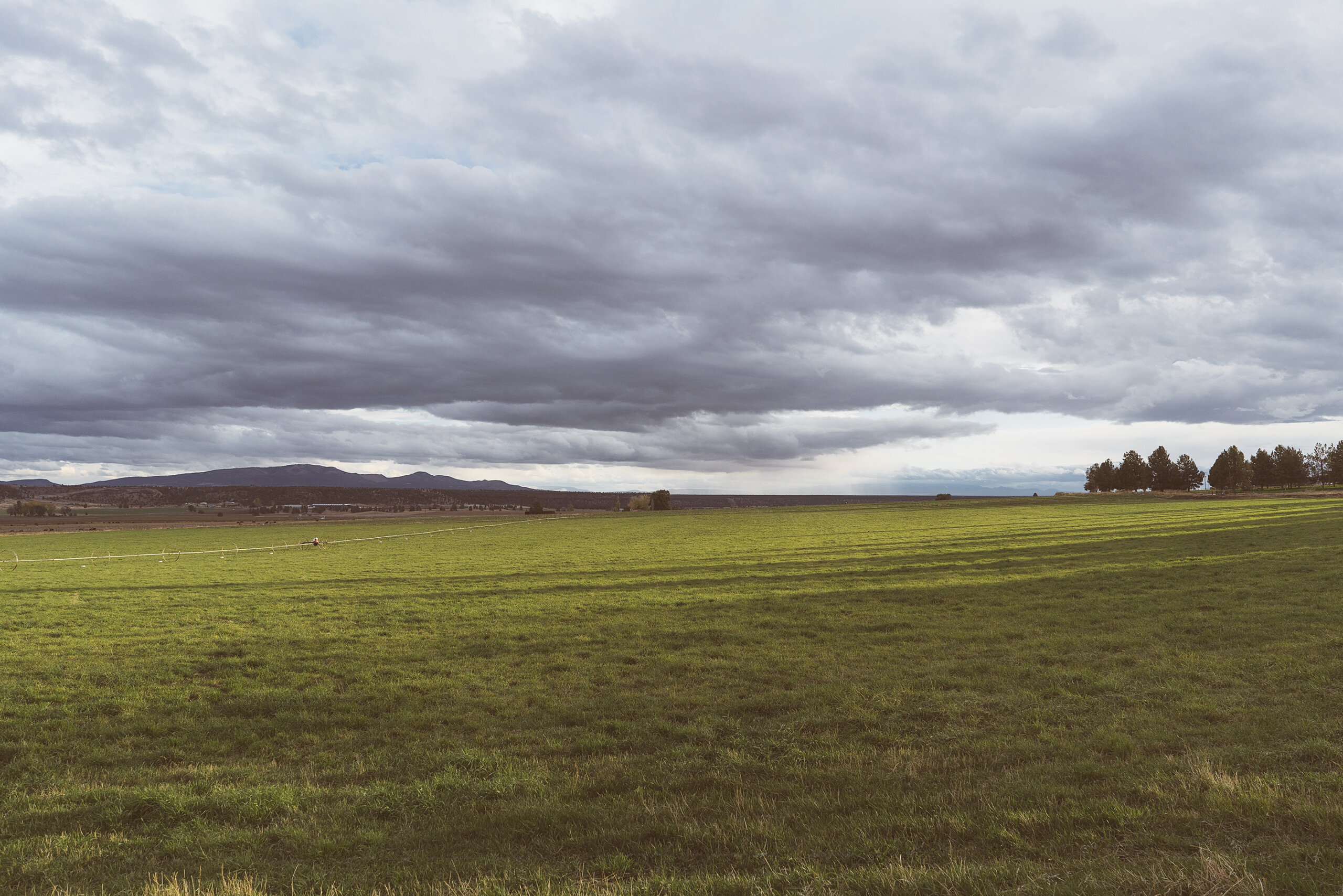Lone Pine Irrigation District: Infrastructure Modernization Project