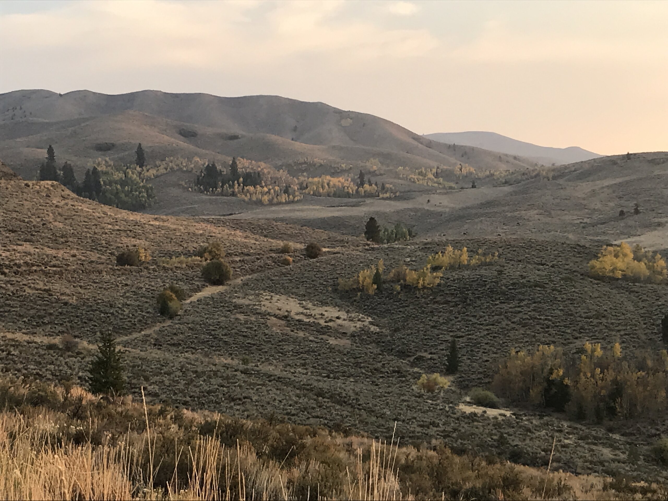 Shake Creek Farmers Screen