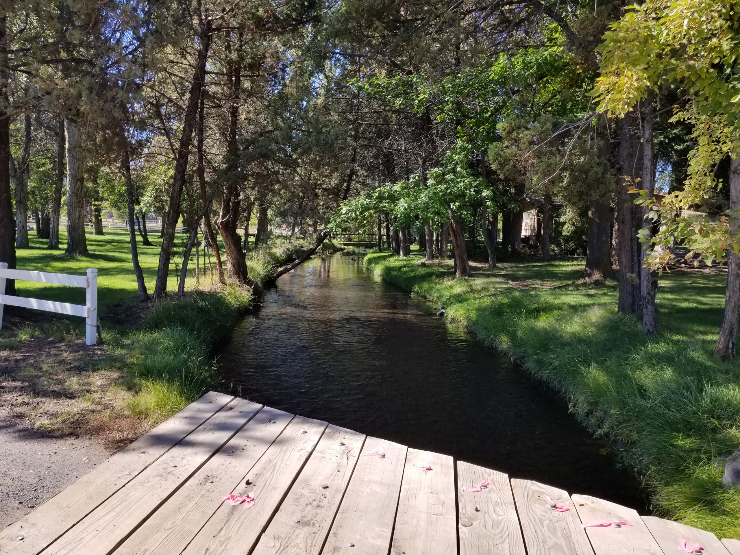 Swalley Irrigation District: Project Group 1: Riley and Riley Sublateral
