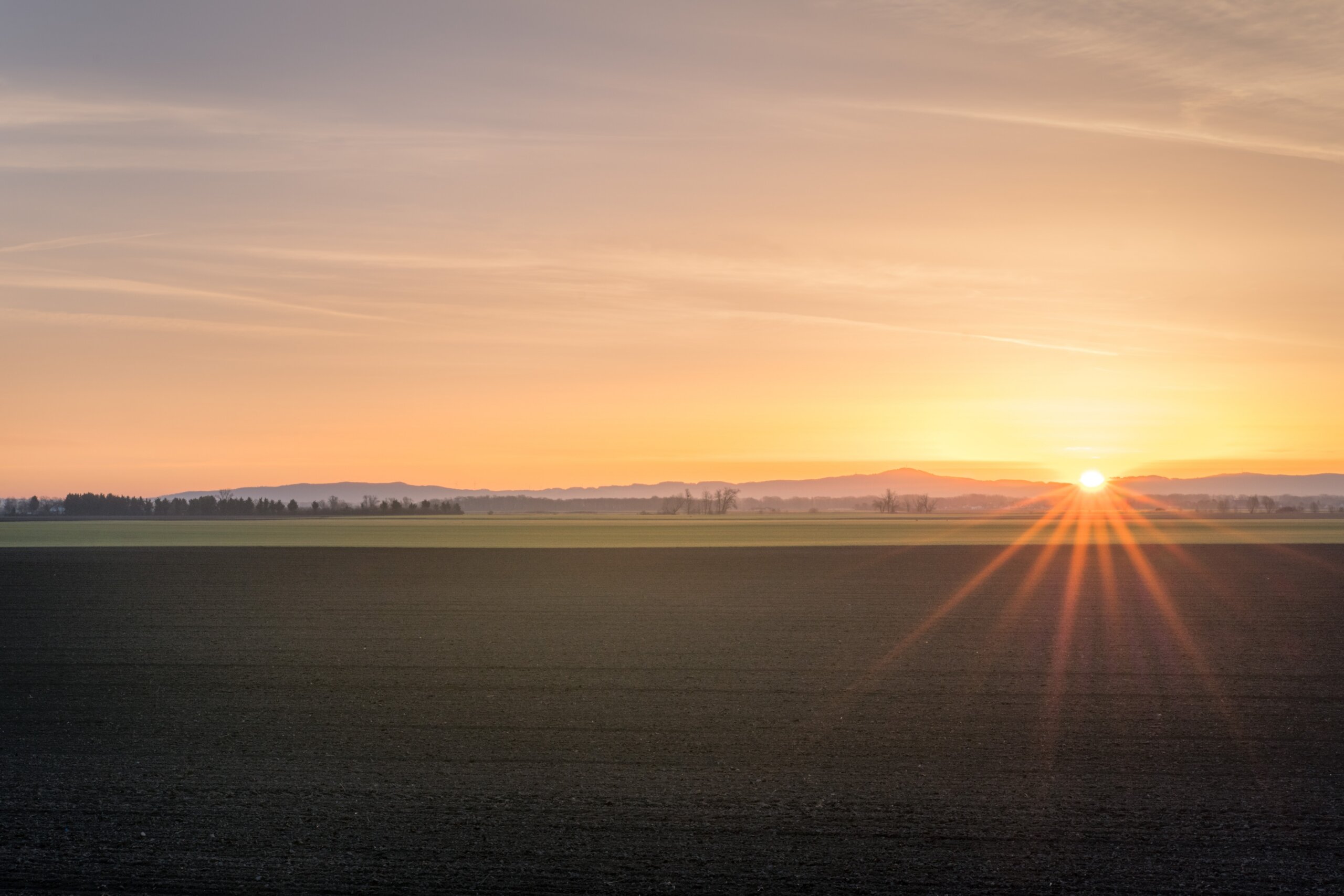 Ochoco Irrigation District: Floating Solar
